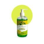 Nature Beauty Lemon Handwash 370ml